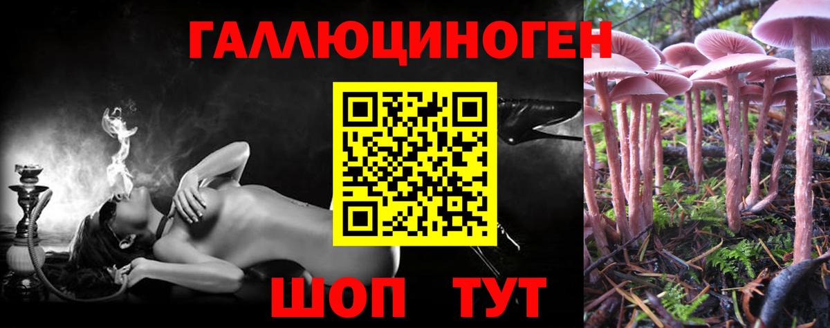 Ипатово  Псилоцибиновые грибы прущие грибы  Вход с VPN 